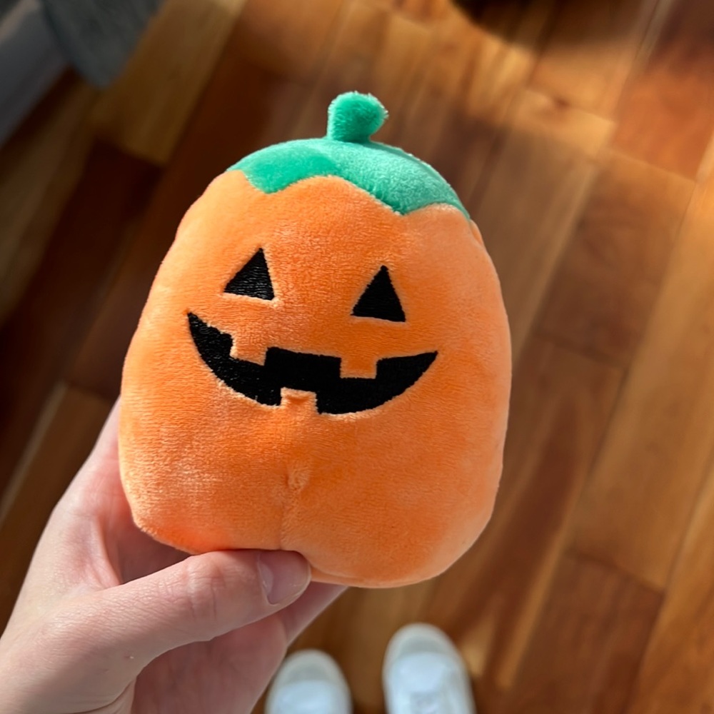 Halloween Squish